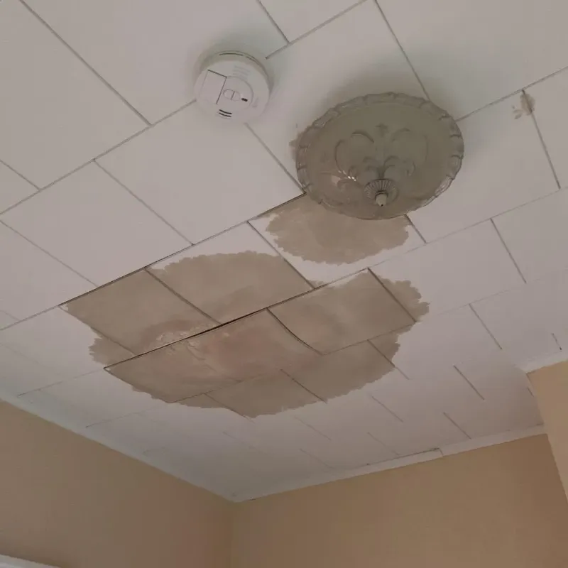 Ceiling Water Damage Repair in Vancleave, MS