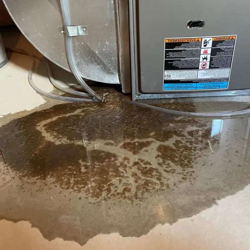 Pipe Burst and Leak Restoration in Vancleave, MS