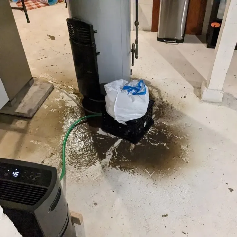 Sewage Backup Cleanup Service in Vancleave, MS
